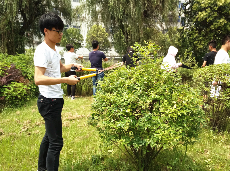 梓桐園藝社開(kāi)展校園灌木修剪造型活動(dòng)